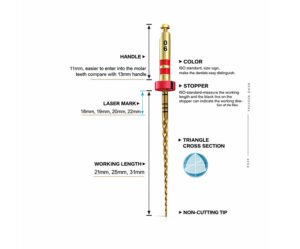 Blu B Flex Gold Rotary Files 25 mm