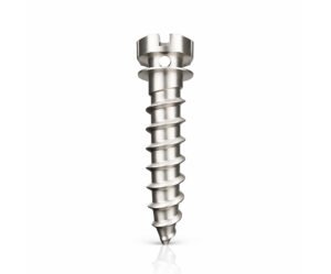 Matt Ortho Titanium Bracket Head Miniscrews